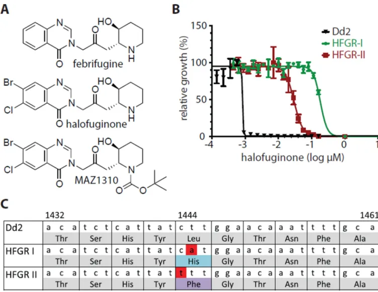 Figure 1. Identification and confirmation of Pfc PRS of P. falciparum as a target of halofuginone (A) Shown are chemical structures for febrifugine and its analogs halofuginone (relative  stereochemistry) and MAZ1310 (relative stereochemistry)