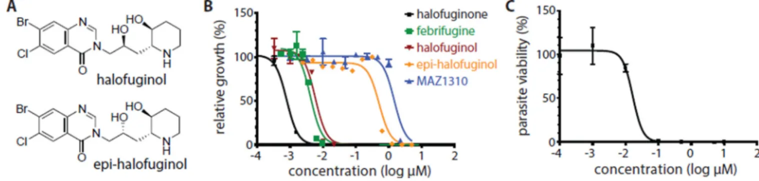 Figure 4. Halofuginol is active against the asexual erythrocytic and liver stages of the malaria  parasite in vitro