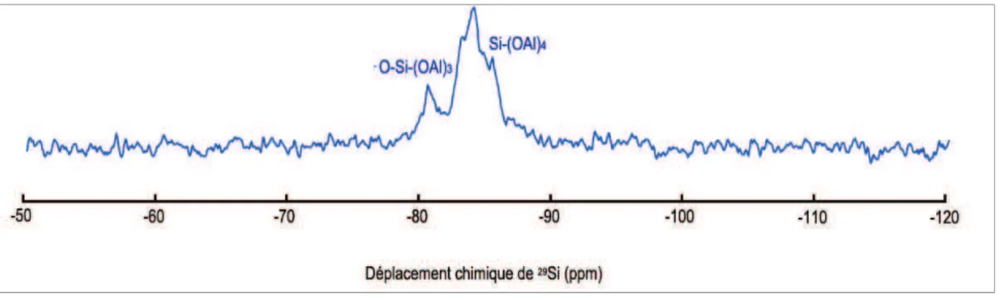 Figure III. 28 Spectre RMN du  29 Si d!un échantillon de YAG-4Si enrichie en  29 Si et cristallisé par recuit à 900°C pendant  18h 