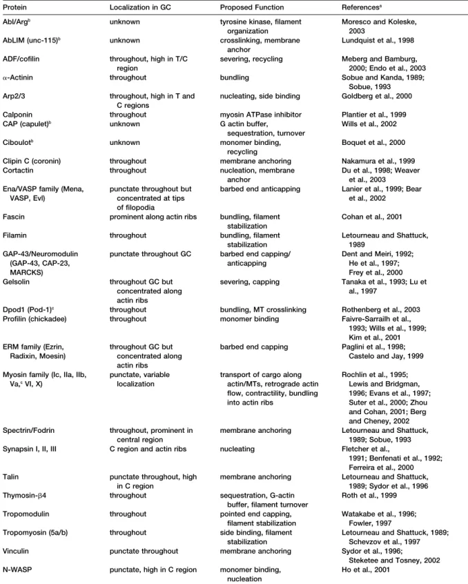 Table 1. Actin Binding Proteins in the Growth Cone