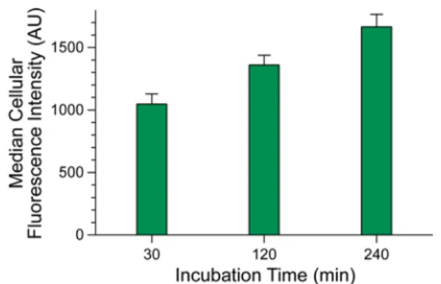 Figure S3.  Time-course for the cellular  internalization  of GFP–1.  CHO-K1 cells  were incubated with GFP–1  (4  µM) at  37 °C, and internalization was quantified by  flow cytometry after 30, 120, and 240 min