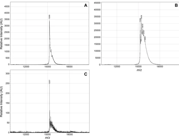 Figure S7.  MALDI–TOF spectra to assess the reversibility of protein esterification with diazo  compound  1