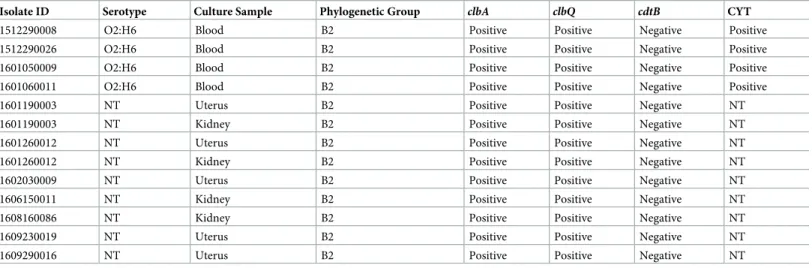 Table 2. Characterization of E. coli isolates from Rag2 and Il2rγ knockout W sh /W sh mice.