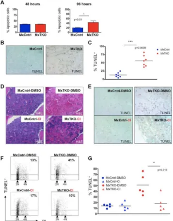 Figure 3. Apoptosis of Bone Marrow Cells After Ablation of D-cyclins