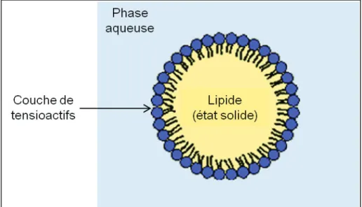 Figure 5. Structure d’une particule lipidique solide.