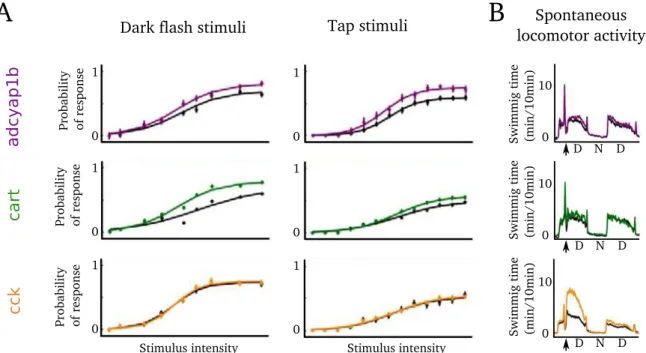 Fig. 1.4: Segregation of arousal between locomotor activity and sensory responsiveness according neuropeptites (A) Neuropeptidic modulation of response to a dark-flash and tapping stimuli