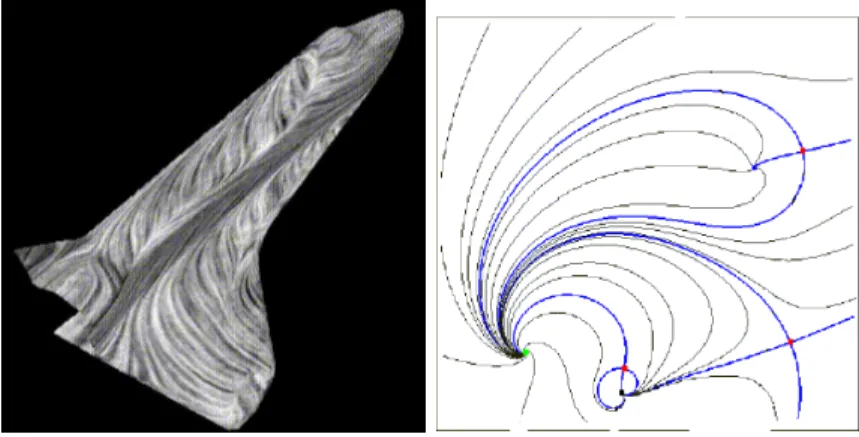 Fig. 8: Techniques de visualisation de vecteurs : advection de textures, et extraction de topologie