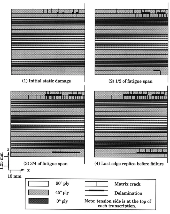 Figure  4.8  Damage  history for a typical  cyclic  [454/-454/(0/90) 4 ]2s  specimen with the initial damage  biased  toward the  tension side.