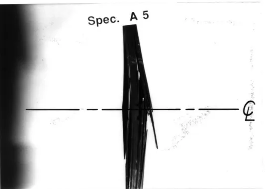 Figure 4.9  Photograph of a typical  failed [454/-454/(0/90)4]2s  specimen  tested cyclically  with the initial  damage  biased toward the  tension side.