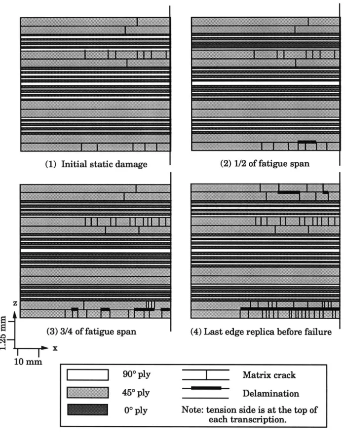 Figure 4.10  Damage  history for a typical  cyclic  [ 4 5 4 /- 4 5 4 /(0/90)412s  specimen with the  initial damage  biased  toward  the compression  side.