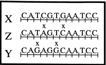 Figure  2-2:  Encodings  of the symbols  used in implementing  the unary counter machine  in Figure  2- 2-1