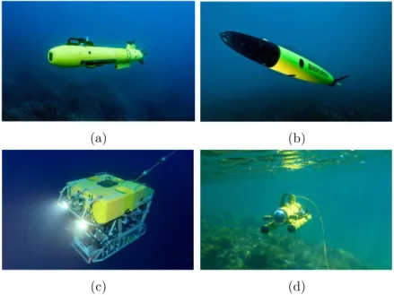 Figure 1.2: Some examples of French underwater robots. (a) the AUV A9 from ECA robotics
