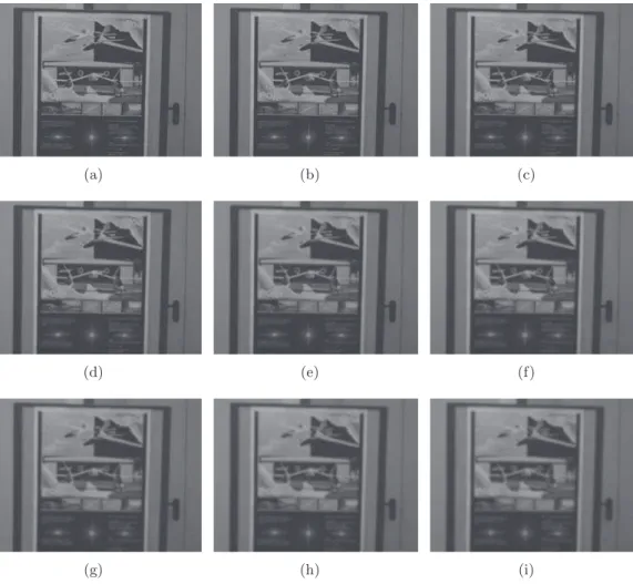Figure 1.8: Test images change in image blur.