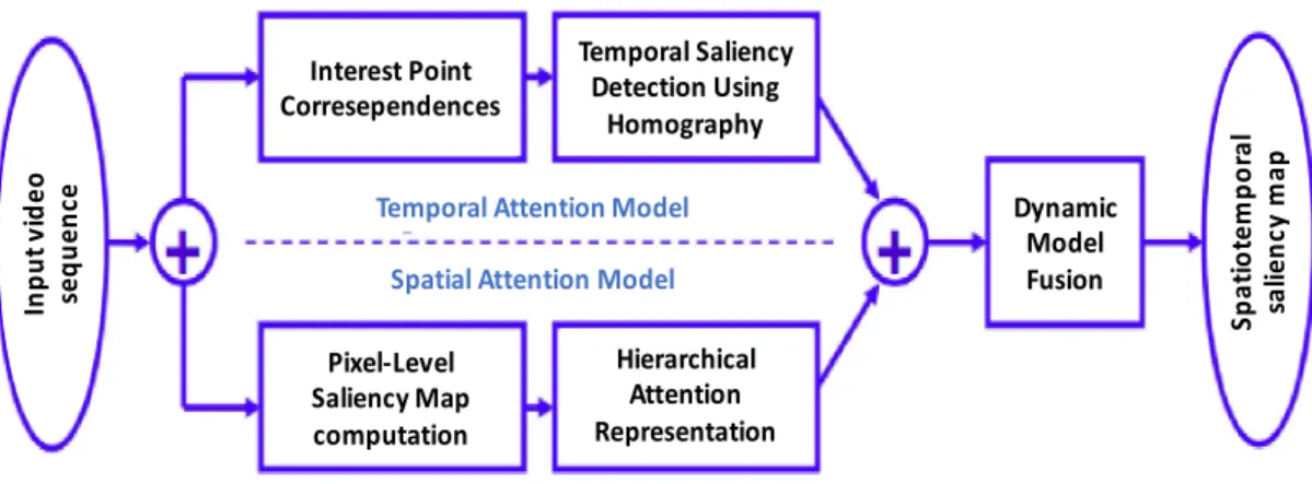 Figure II-11: Workflow of the saliency model [ZHA06]: the saliency map is obtained through a dynamic fusion of the static and 