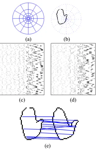 Figure 2.6 – Shape context components [70]: (a) the log polar histogram used, (b) shows it centered on a point on a hand contour