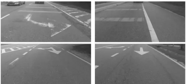 Figure 3.5: Different lane marks present on the road using self-recorded dataset. 