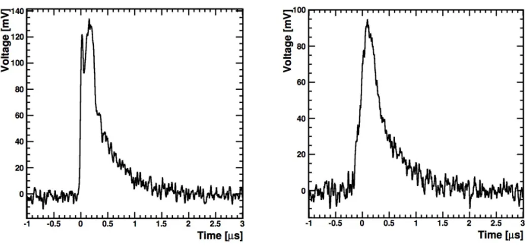 Fig. 3. Waveforms from the Route2Electronics HS-AMP-CF amplifier connected to the ground mesh of the amplification region