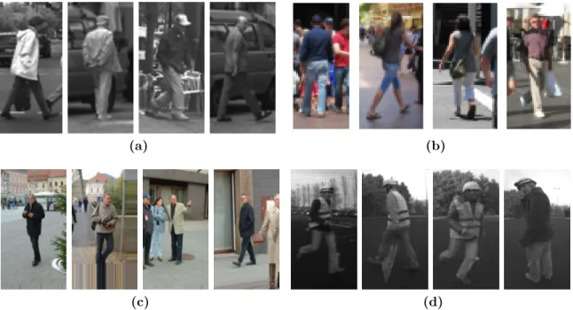 Figure 2.13: Positive examples from different pedestrian datasets: (a)Daimler [Enzweiler 09]