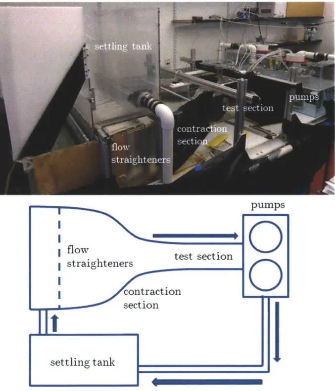 Figure 3-1:  Top:  A  picture of the  water tunnel setup  used.  Bottom:  A  schematic showing the flow  of water through the  system.