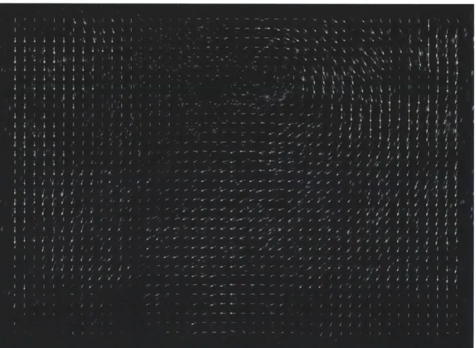 Figure 5-3:  A  sample frame from Experiment 2's flat plate wake.