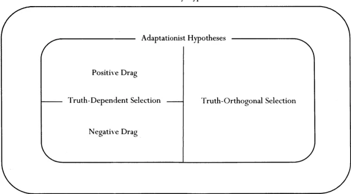 Fig.  3.  Space  of evolutionary  hypotheses  about  human  cognition.  The  adaptationist  hypotheses  are  (i)  a  proper  subset of  evolutionary  hypotheses,  (ii)  appeal  either  to  truth-dependent  or  truth-orthogonal  selection,  and  (iii)  if  