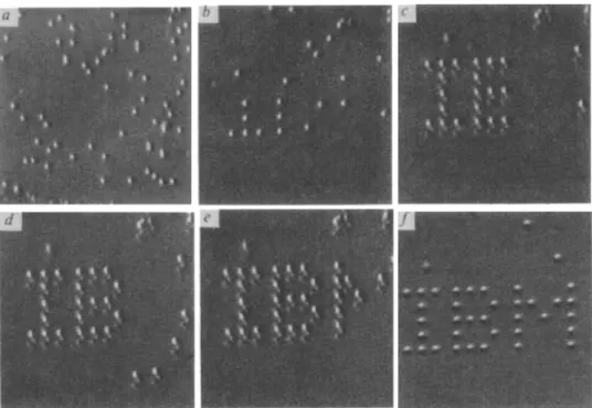 Figure 2.8: A sequence of images taken during the manipulation and arrangement of Xenon atoms [ES90].