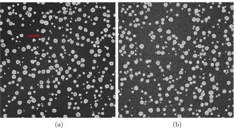 Figure 3.8: Artificially generated (A) noise free and (B) noisy images of gold on carbon using Artimagen library