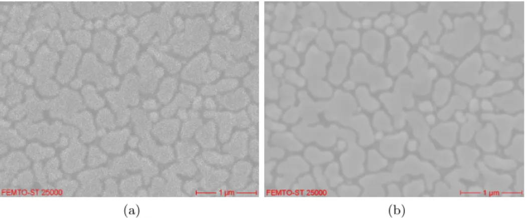 Figure 3.12: Sample images of gold on carbon obtained at (a) 720 ns/pixel (b) 11500 ns/pixel.