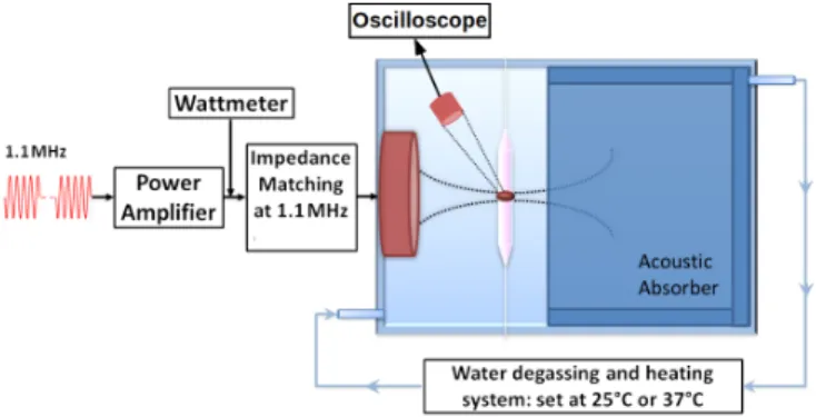 Figure 1: Scheme of the ultrasonic setup used to perform ultrasound- ultrasound-trigger drug release experiments.