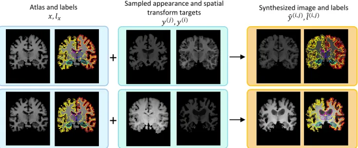 Figure 8: Since we model spatial and appearance transformations independently, we are able to synthesize a variety of com- com-bined effects