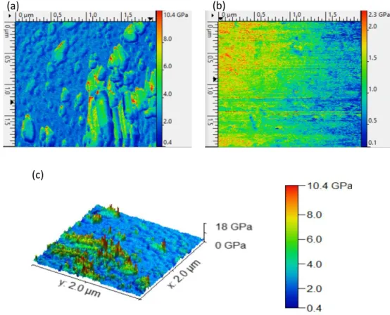 Figure 11. AFM stiffness images (Young modulus) of (a) W 10 O 32 (IPh 2 ) 4 /polymer composite  and (b) the polymer without  POM