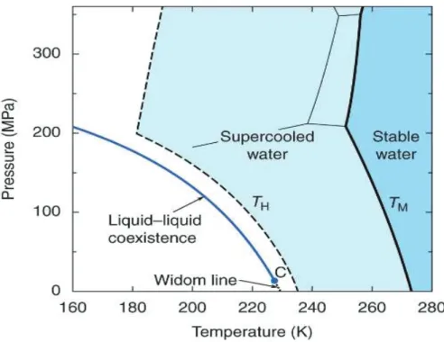 Figure 1.13 – Diagramme de phase de l’eau surfondue avec la ligne de Widom. [24]