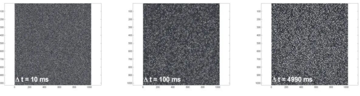 Figure 2.3 – Diﬀérence d’une image à un temps Δ t avec l’image, où Δ t =: 0 , 100 , 4990 ms