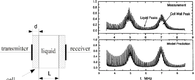 Figure I.12. Principe de mesure de la méthode SFAI et spectre typique acquis [BLAH- [BLAH-10][SINH-01]