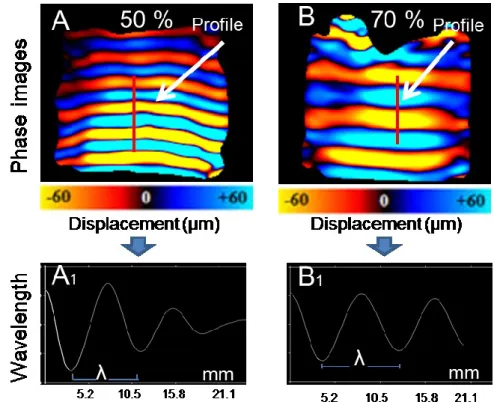 Figure  3.1  showed  the  recorded  phase  images,  obtained  for  the  homogeneous  phantoms  (without  fiber)  composed  of  50%  (Figure  3.1A)  and  70%  (Figure  3.1B)  of  plastisol  concentration
