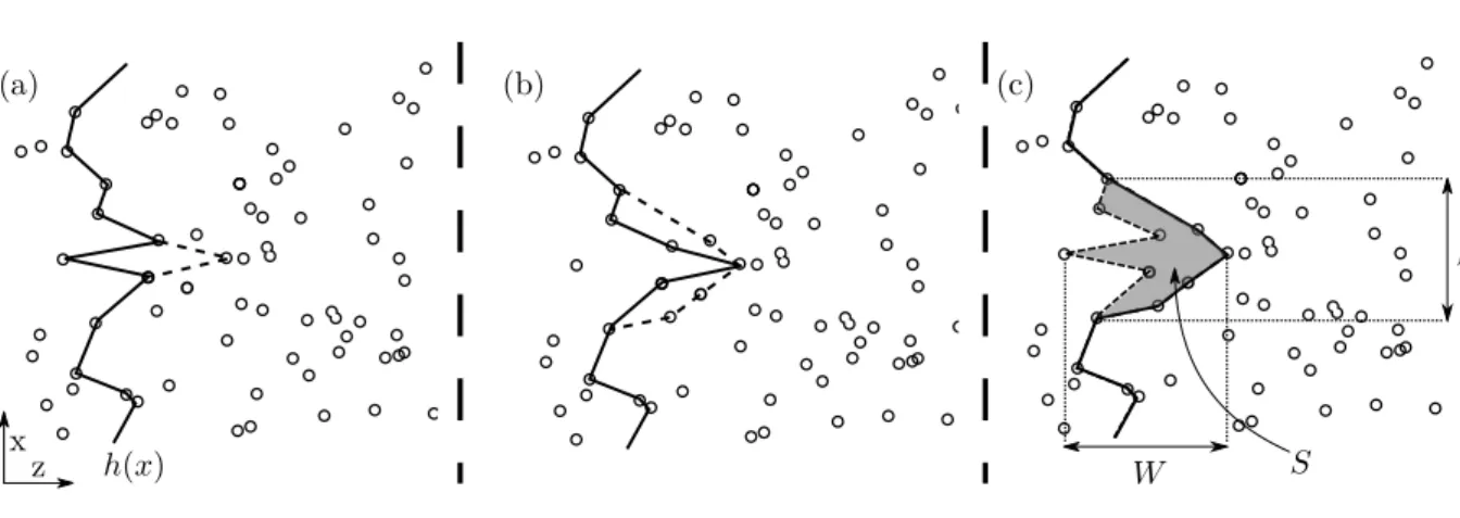 Figure 3.4: Avalanches characteristic properties. Schematic view of a one-dimensional interface embedded in a random (disordered) medium