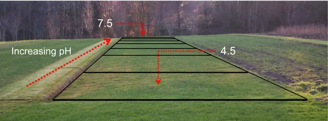 Figure  1.3.  The  pH-controlled  plots  sampled  at  the  Scottish  Agricultural  College,  Craibstone,  Scotland