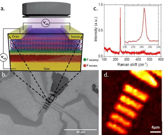 Figure 1. a) Scheme of the photodetector device and electrical connections. A flake of MoSe 2