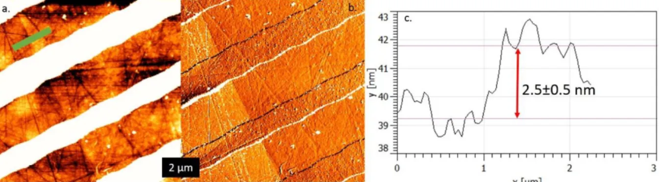 Figure S 1 Magnitude (a.) and phase (b.) atomic force microscopy image of the MoSe 2  flake