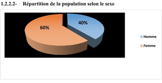 Figure 7: Répartition de la population selon le sexe