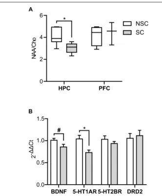 FIGURE 4 | Neurophysiology (single voxel spectroscopy and molecular biology). The NAA/Cho ratio was lower in the hippocampus (HPC) of stressed (SC) compared to non-stressed (NSC) animals (U = 3.000, p = 0.015), but no difference was found in the prefrontal