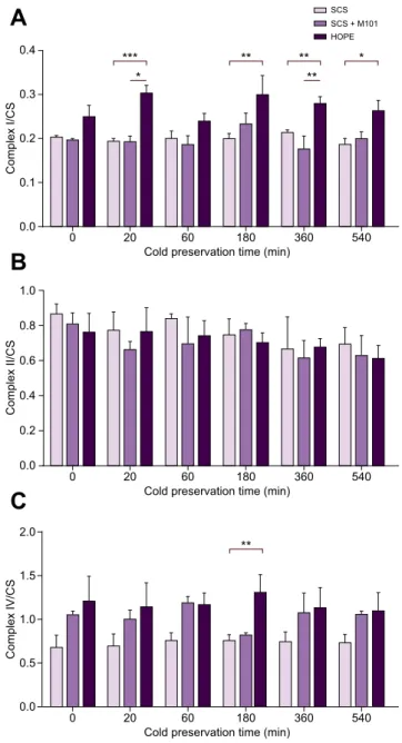 Fig. 3. Activities of mitochondrial complexes I, II and IV according to liver cold preservation time