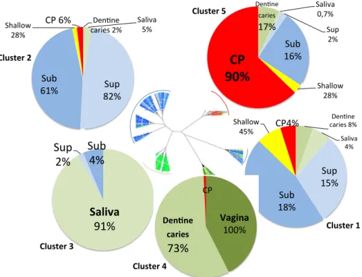 Fig. 2: Unrooted tree displaying genus Bray Curtis beta-diversity clustering microbiota and 516 