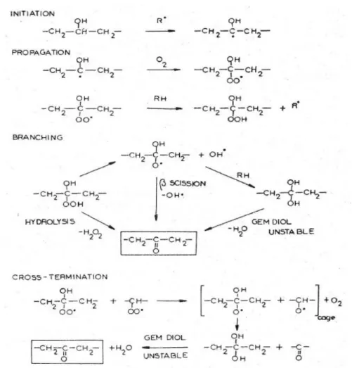 Figure 1.22. Schéma de formation les groupes carbonyles à partir de  groupes hydroxyles secondaire [184]