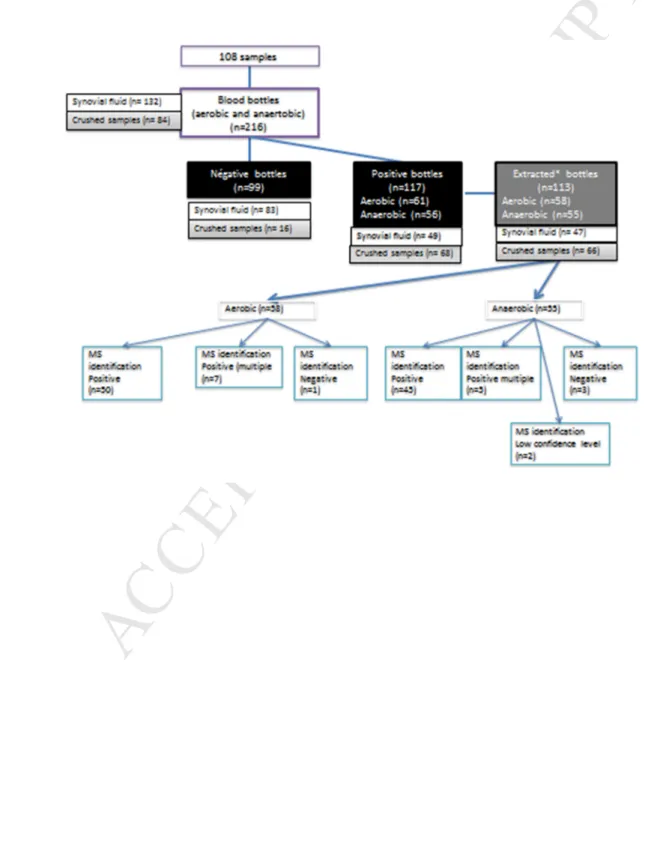 Fig. 1. Scheme of the study for 216 vials and results of MALDI-TOF  MS  identification after 444 