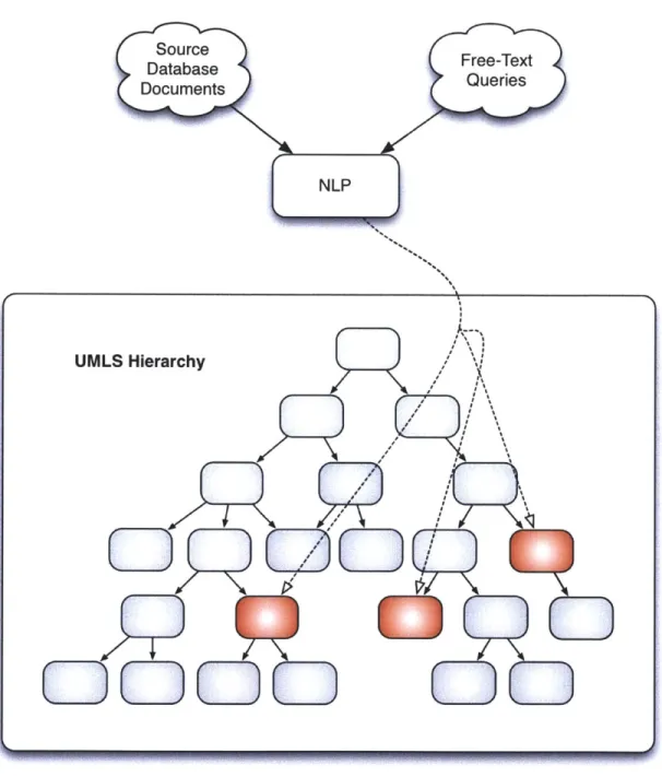 Figure  2-1:  Free  text  source  documents  are  processed  with  NLP  software  that  maps  them  to  unified  medical concepts