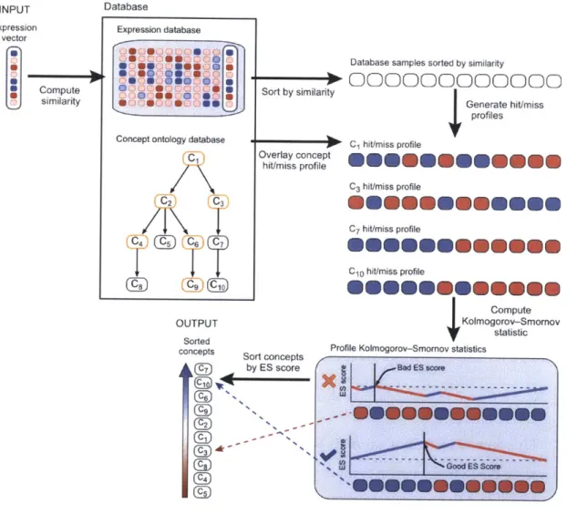 Figure  4-5:  A  user  submits  a  gene  expression  profile  to the  database  that then  computes the  similarity  to all other samples  in  the database