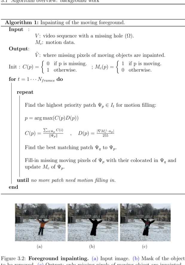 Figure 3.2: Foreground inpainting. (a) Input image. (b) Mask of the object to be removed