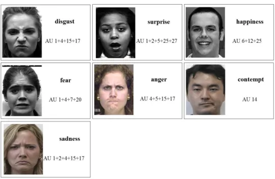 Figure 2.1: Examples of seven basic facial expressions from Cohn-Kanade (CK) database
