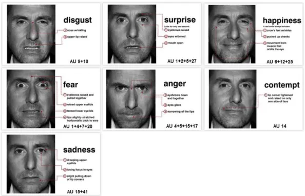Figure 2.2: An example of seven micro-expressions. Each micro-expression is labeled by the action units (AUs) with detailed interpretation
